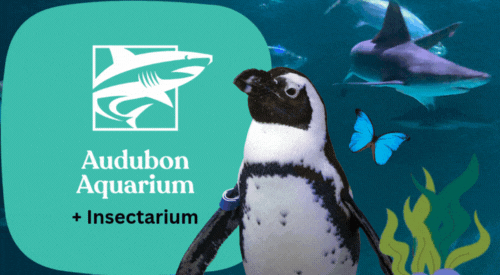aquarium tickets tile
