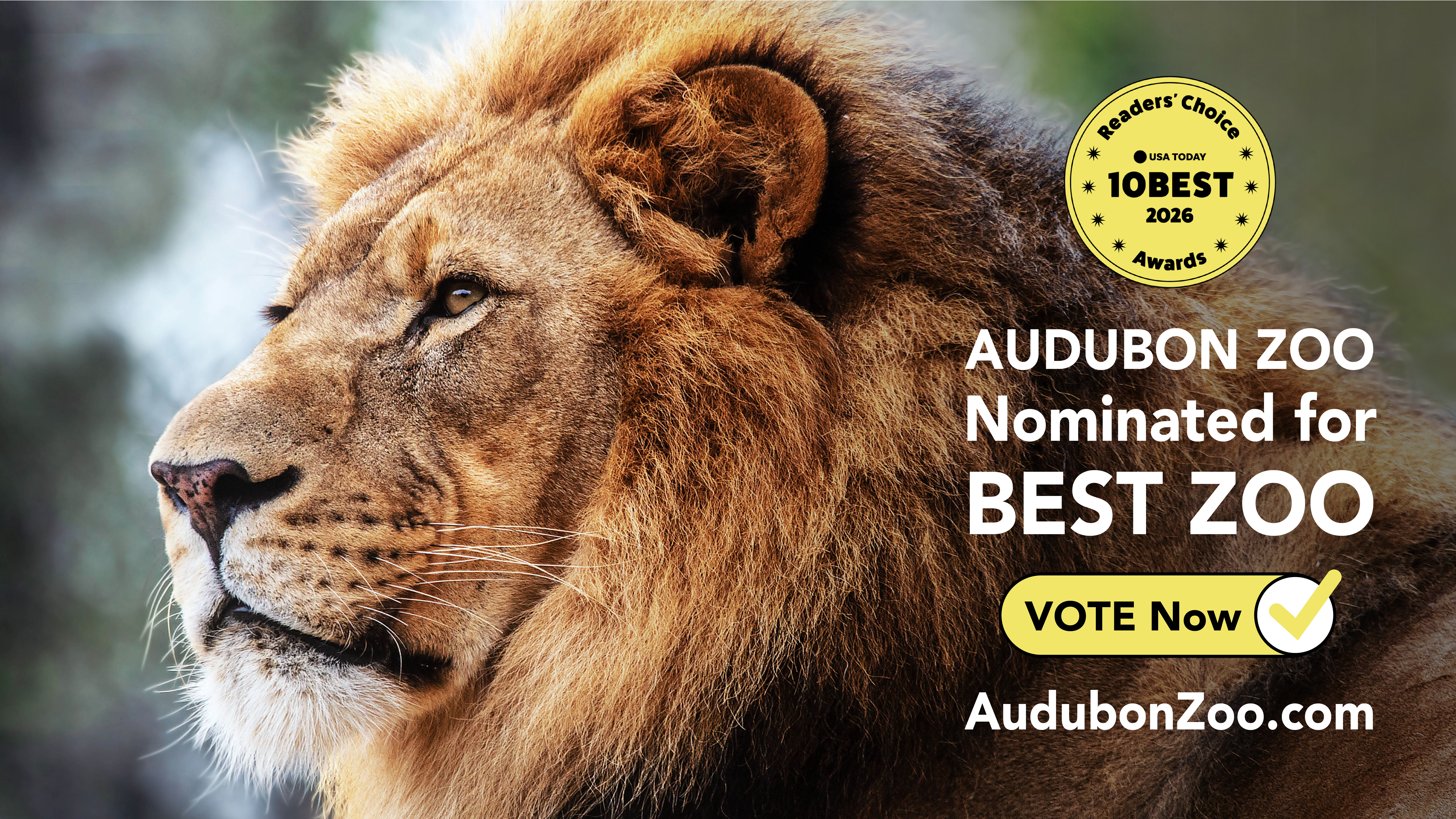 Audubon Zoo Vote 10Best