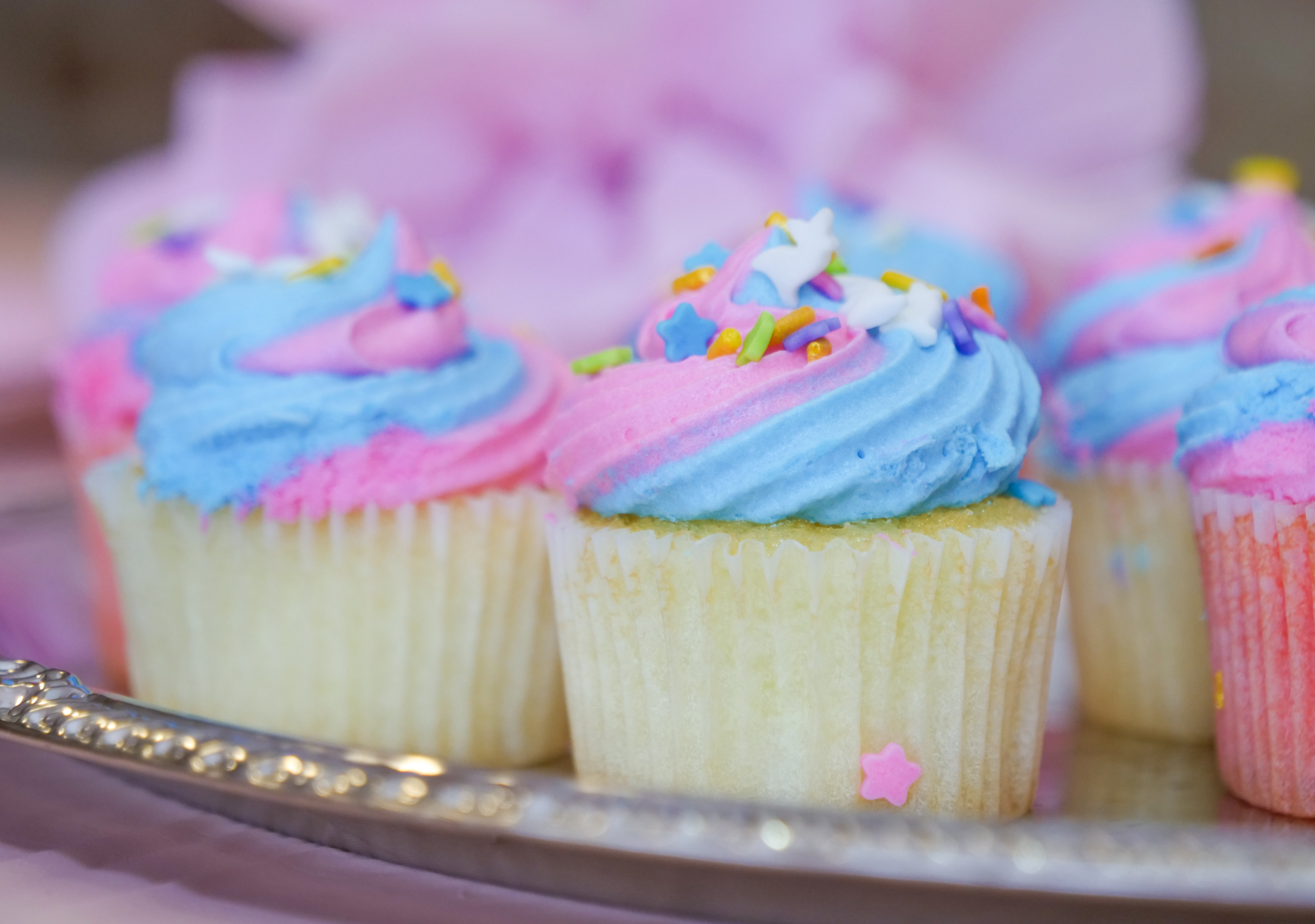 Colorful birthday cupcakes at a party at Audubon Zoo in New Orleans