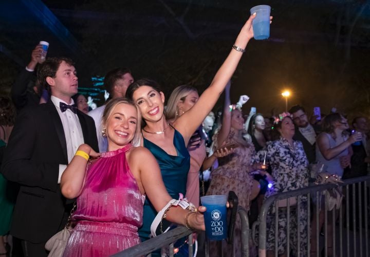 Hancock Whitney Zoo-To-Do