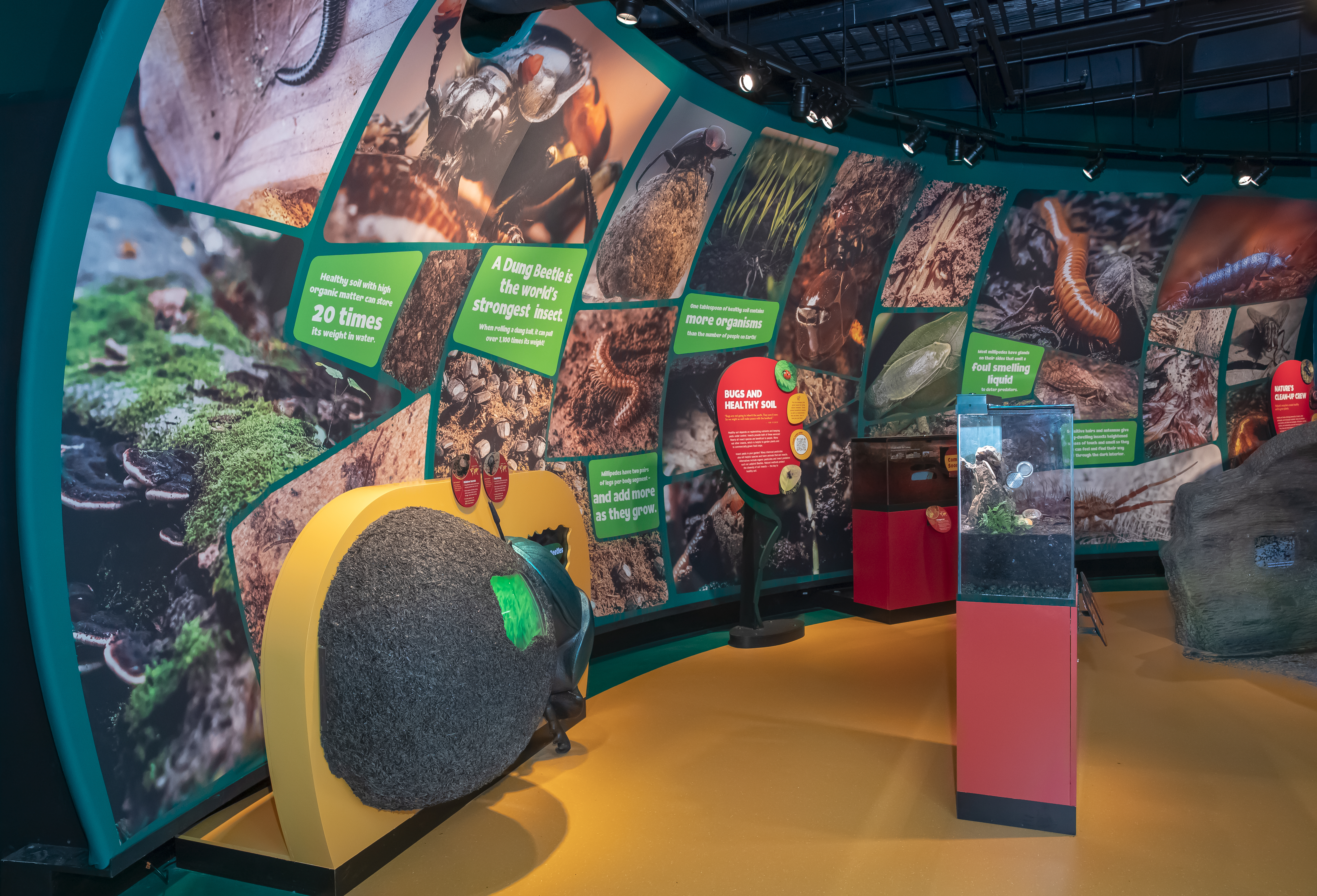 eco engineer exhibit