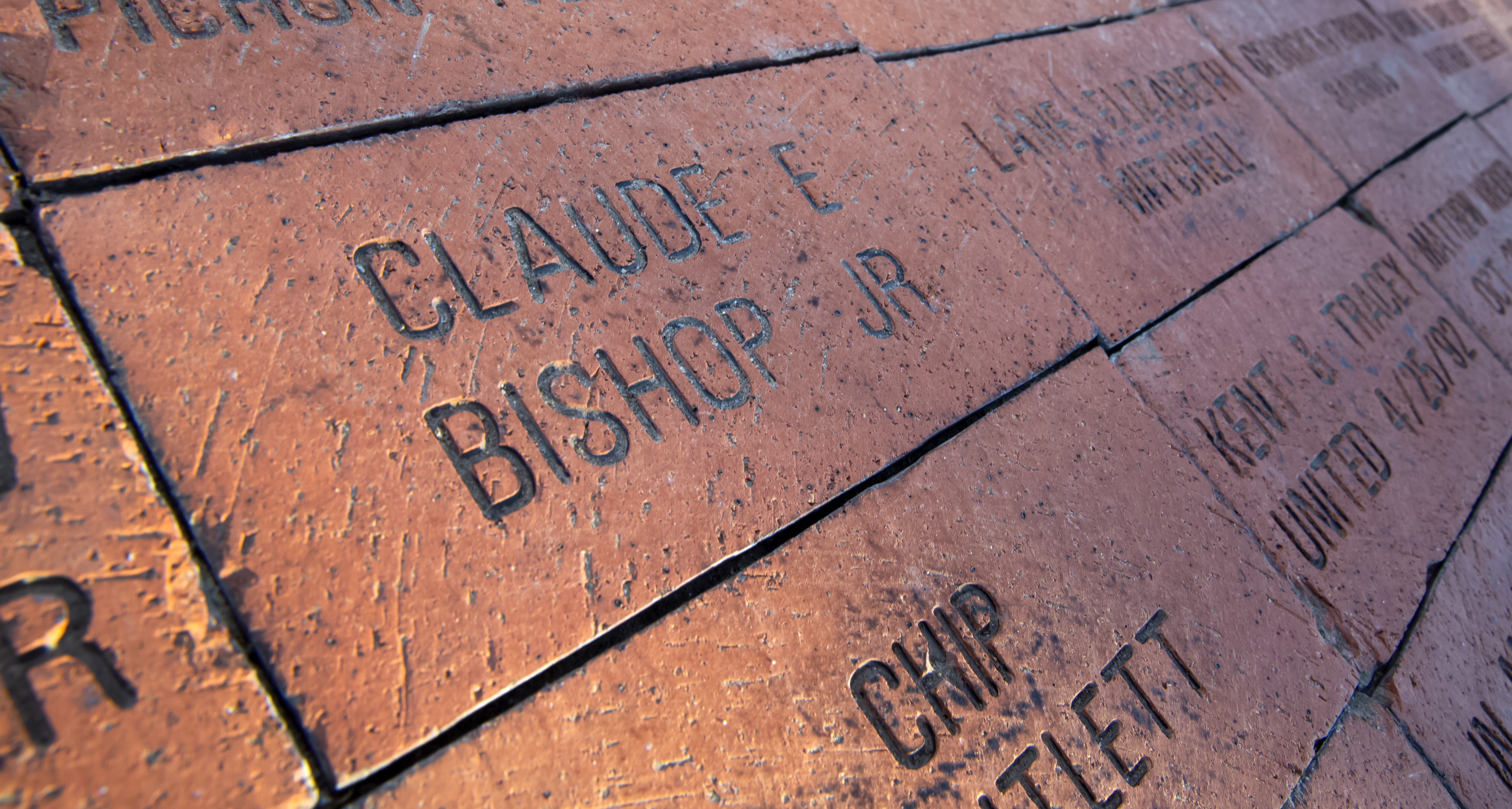 aquarium plaza bricks