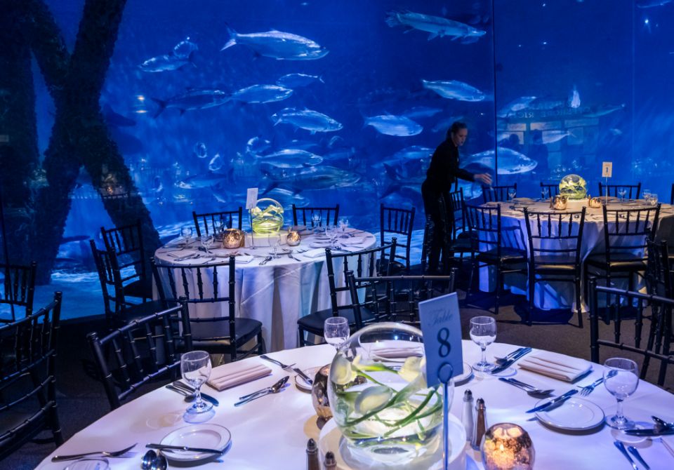 A rehearsal dinner set up at Riverview Terrace at Audubon Aquarium