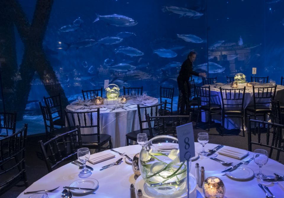 A rehearsal dinner at River Terrace at Audubon Aquarium