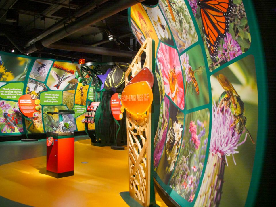 eco engineers exhibit