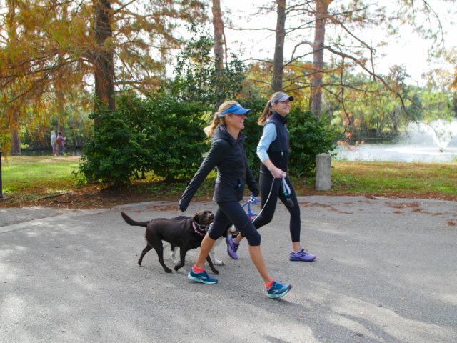 joggers and cyclists 
