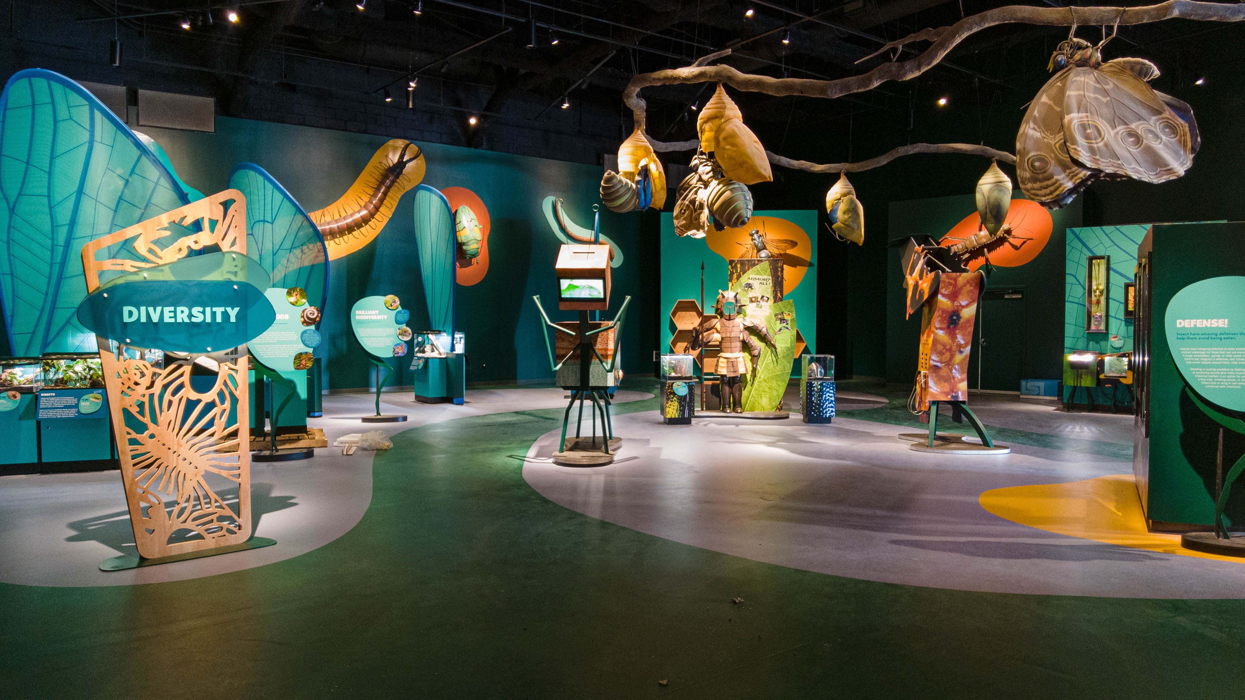 bug diversity exhibit