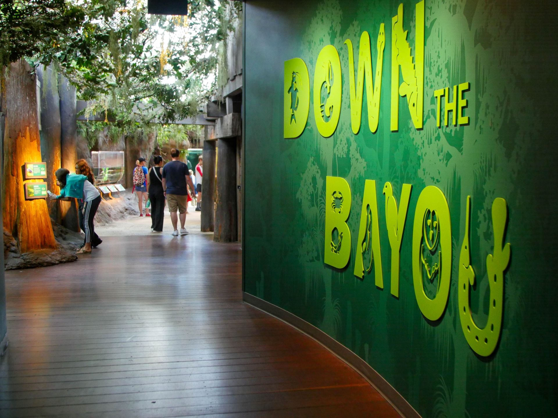 down the bayou exhibit