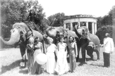 historical Audubon Zoo