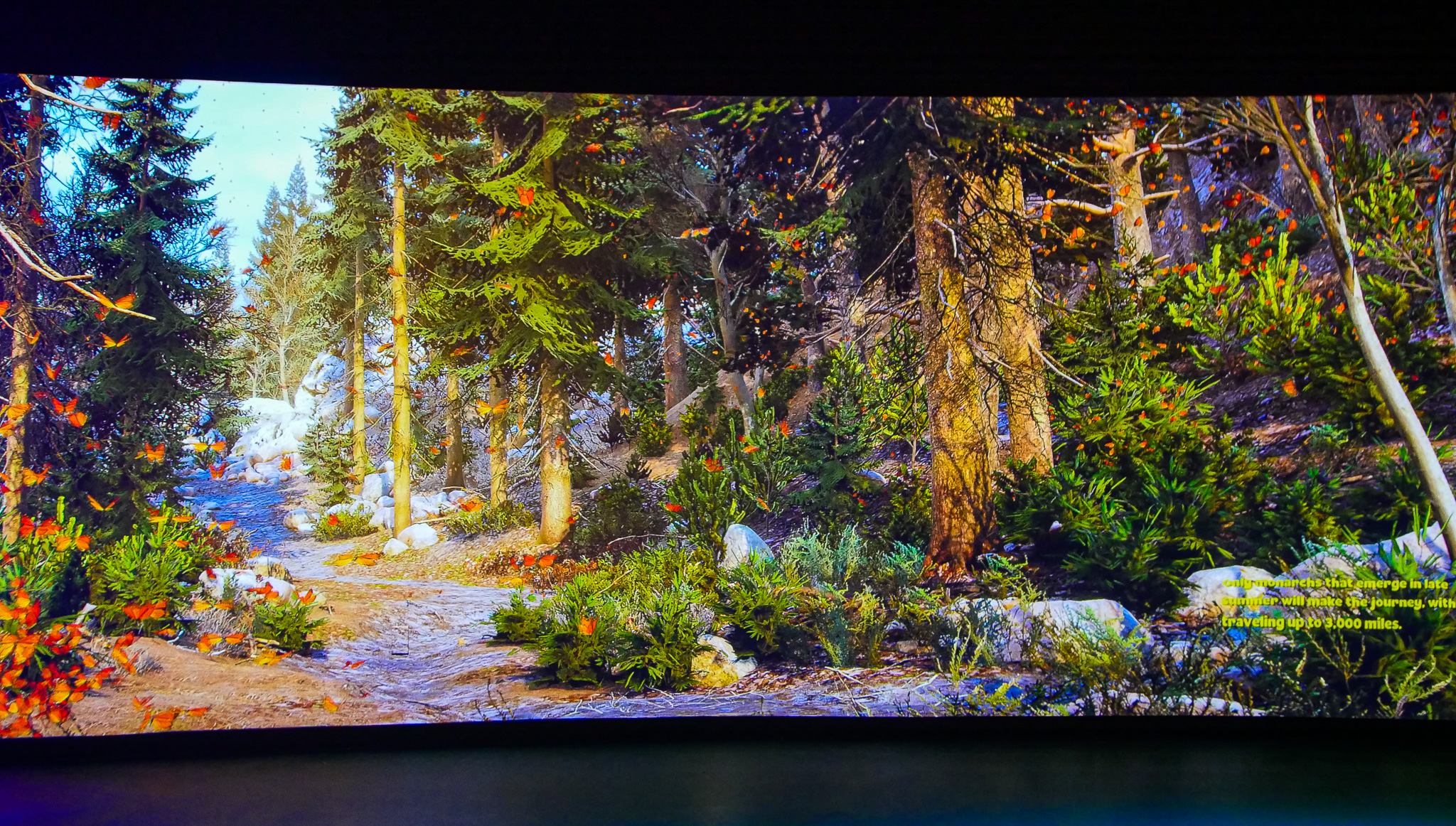 Interactive wall at Audubon Insectarium