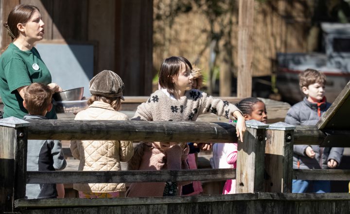 Education Programs & Camps