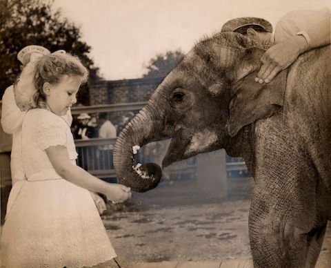 historical Audubon Zoo