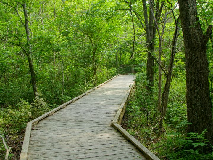 nature center trail
