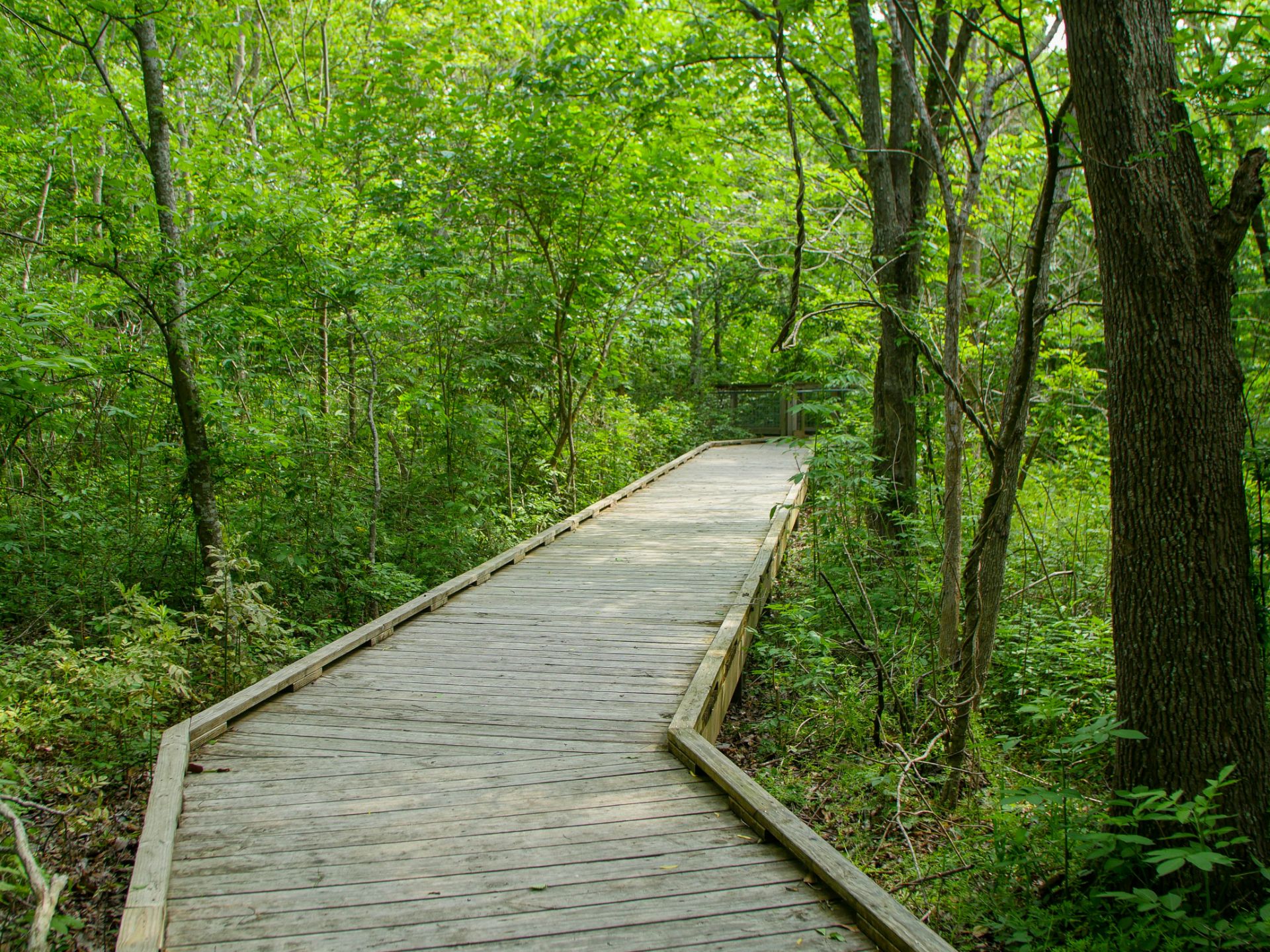 nature center trail