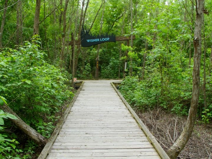nature center trail