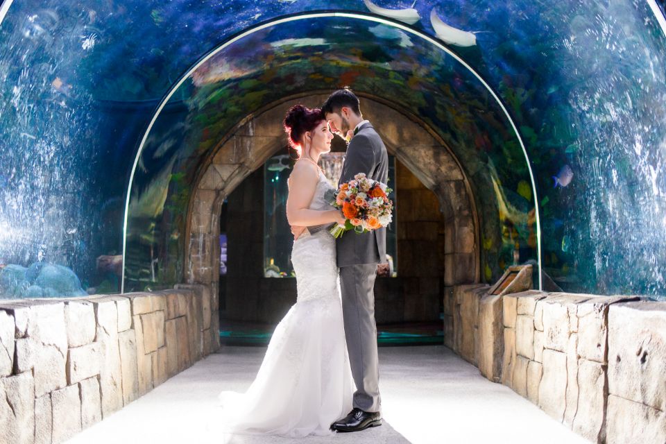 A wedding at Audubon Aquarium