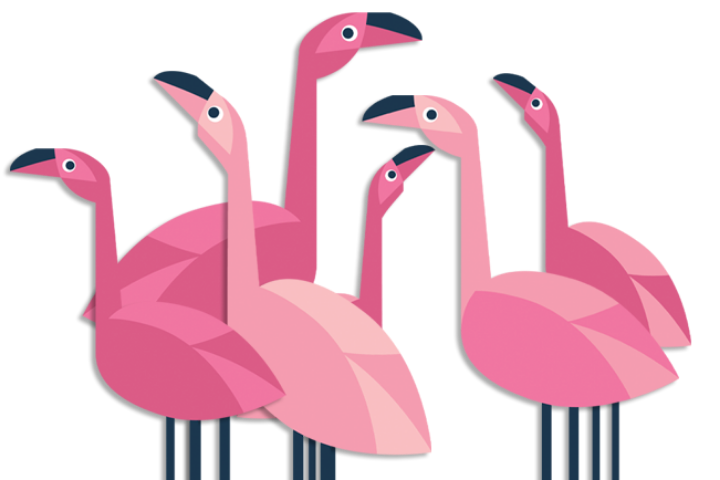 flamingos illustration