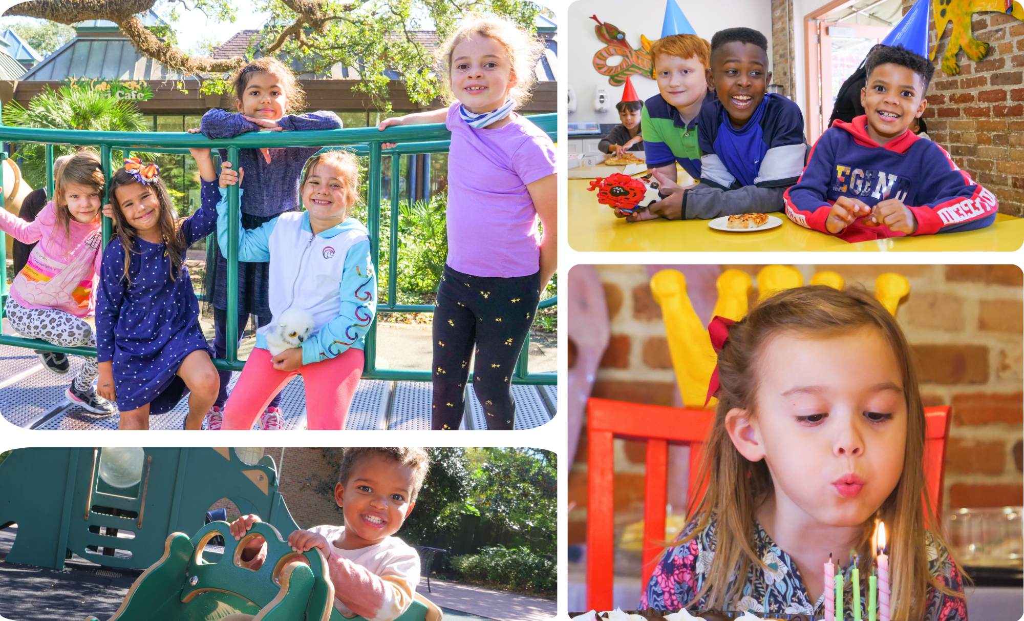 A collage of birthday party images at Audubon Zoo