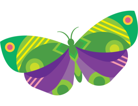 butterfly insectarium