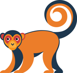 monkey illustration