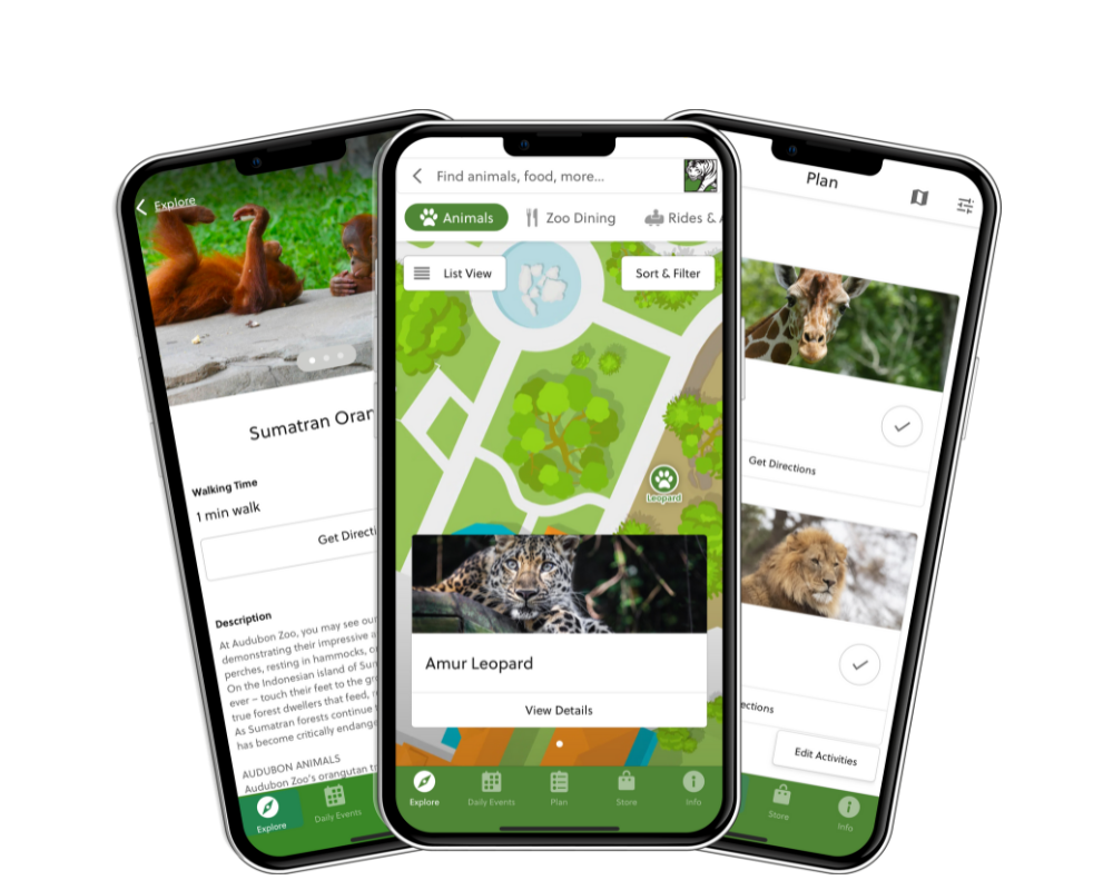 app promo three phones image